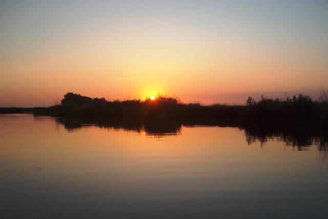 Doar ...  NATURA - sany6797.JPG